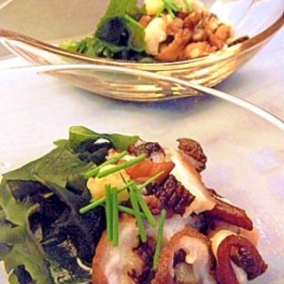 ミズダコレシピ 作り方の人気順 簡単料理の楽天レシピ ミズダコレシピ 作り方の人気順 簡単料理の楽天レシピ